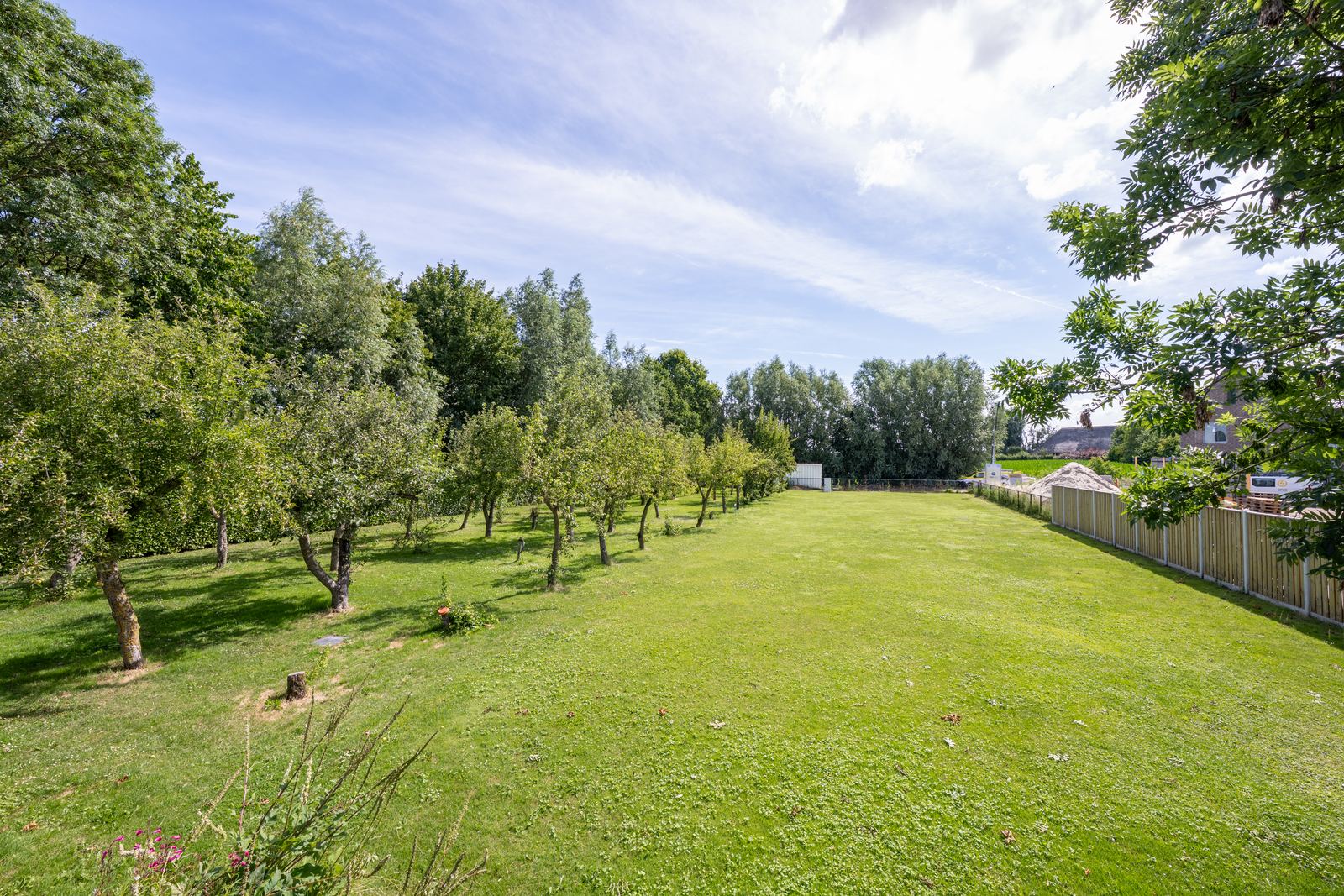 De kavel aan de Sjersestraat in Almkerk, met gras en fruitbomen