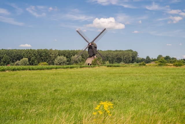 Molen in het polderlandschap bij Almkerk
