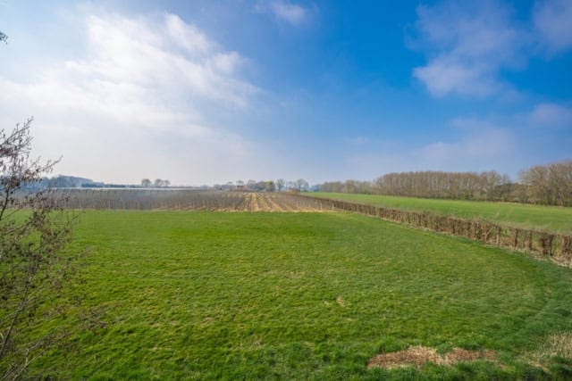 Weiland bij de Wielstraat in Rijswijk