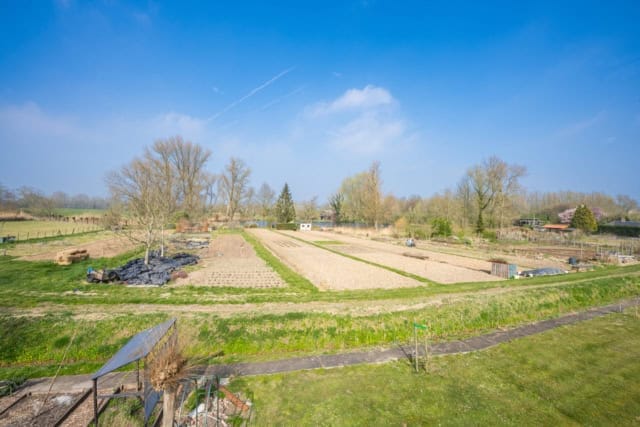 Moestuinen en weilanden aan de rand van Rijswijk